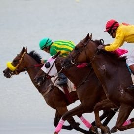 RACING QUEENSLAND IN THE RED RACING QUEENSLAND IN THE RED